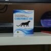 Careforce 100